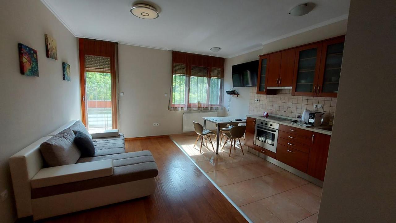 Sunny Loft Kecskemét Apartment Bagian luar foto